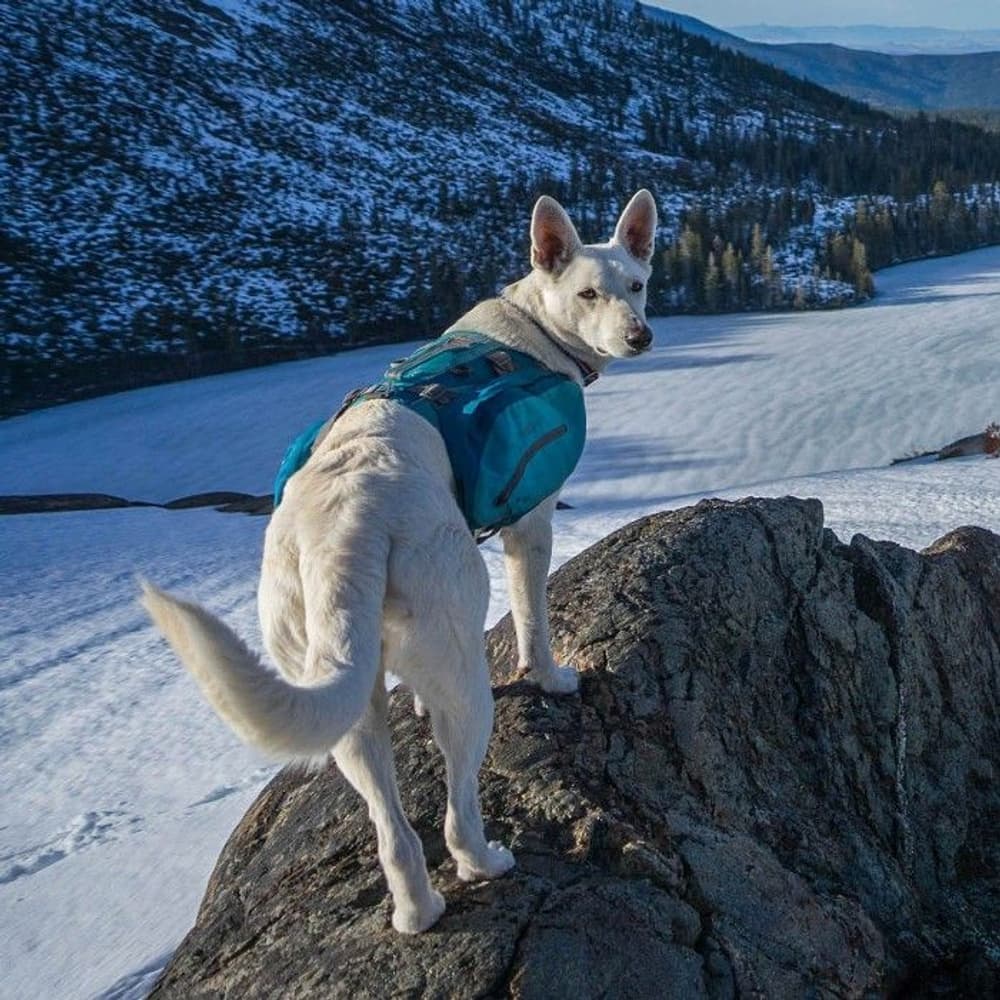 Baxter Kløvveske Blå, view: 6