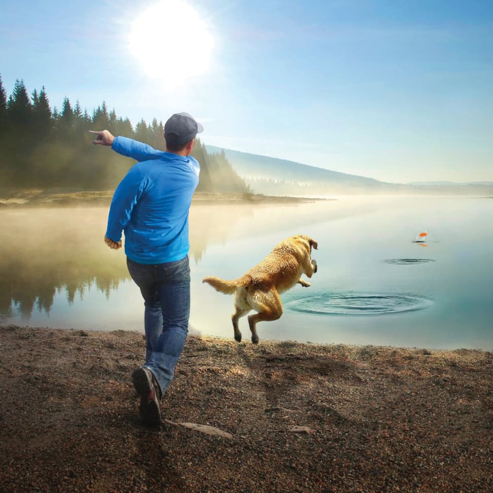 Skipping Stones Dog Toy 3 pcs, view: 4