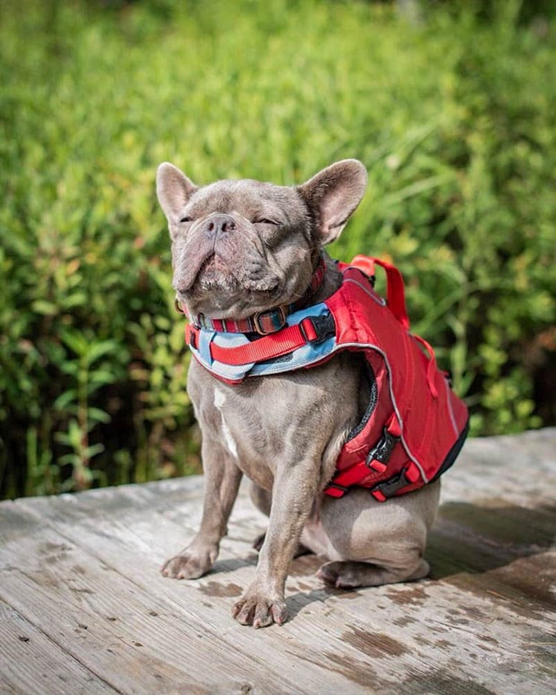 Life Jacket Surf N Turf Red (2021), view: 4