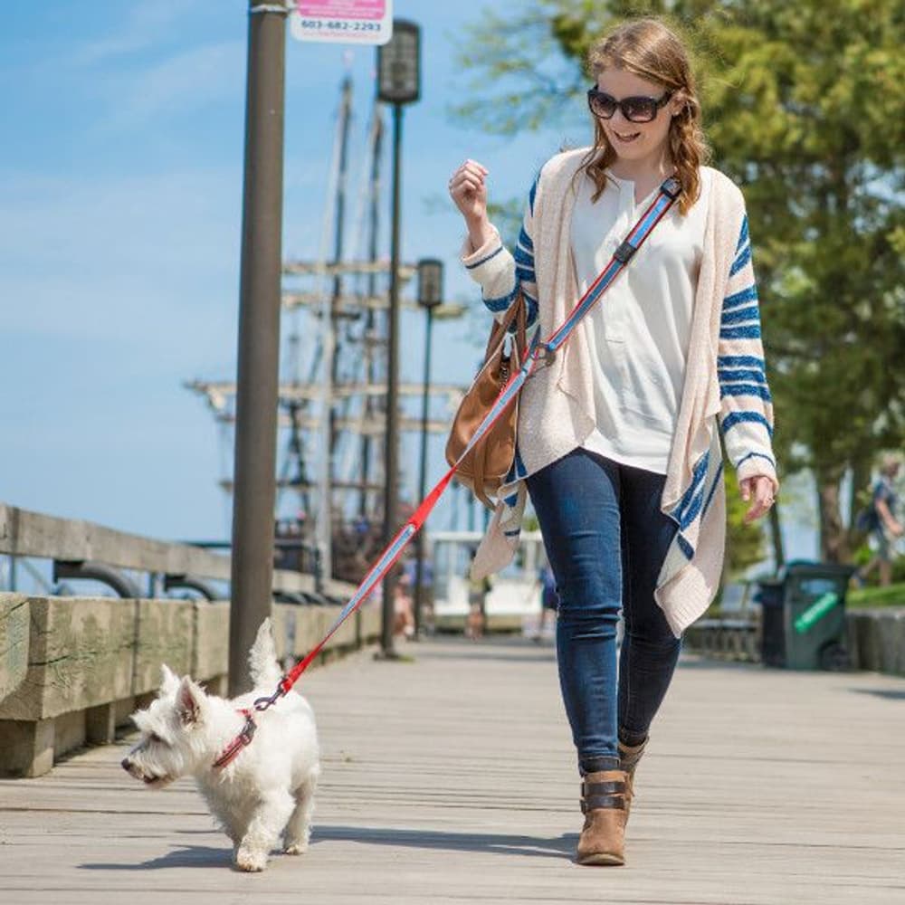 Quantum Leash Reflect & Protect Barn Red, view: 1