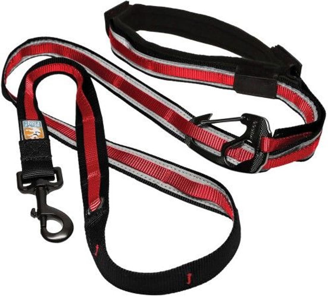 Quantum Leash Reflect & Protect Barn Red, view: 0