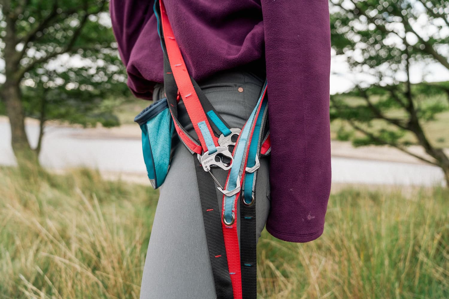 Quantum Leash Reflect & Protect Barn Red, view: 4