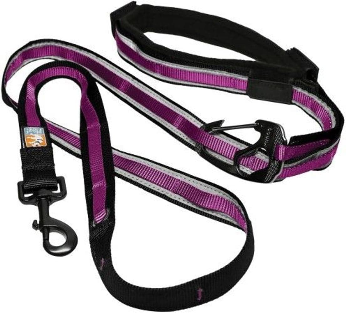 Quantum Leash Reflect & Protect Raspberry, view: 0
