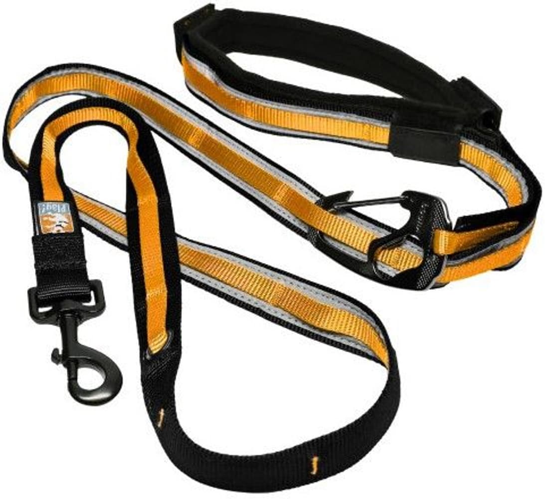 Quantum Leash Reflect & Protect Black/Orange, view: 0