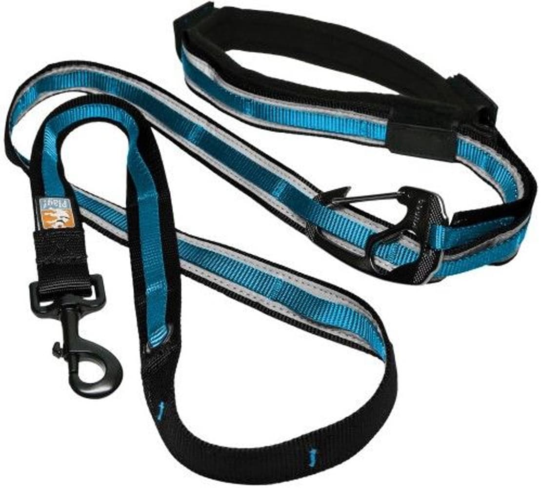 Quantum Leash Reflect & Protect Coastal Blue, view: 0
