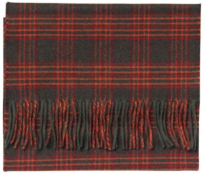 Clyde Scarf Checks, view: 0