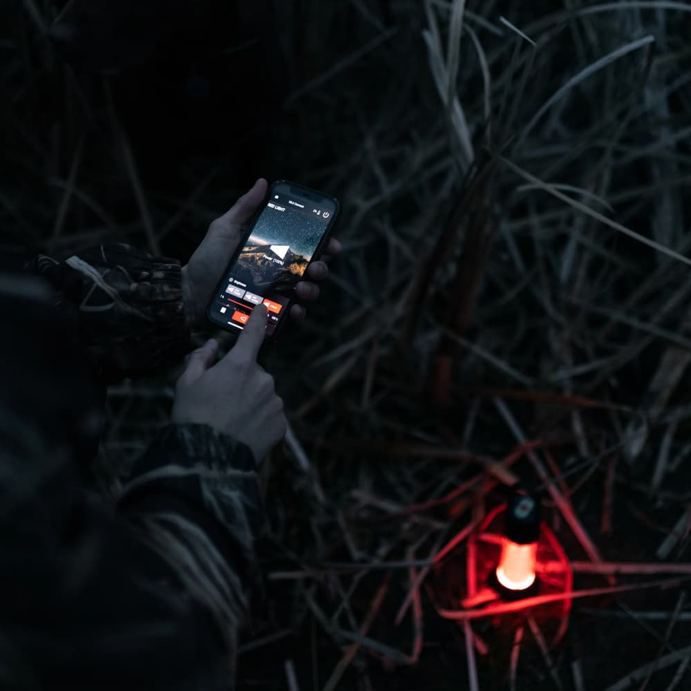 ML6 Connect Warm Light Black, view: 8