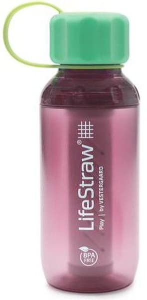 LifeStraw Play Water Bottle with Filter 300 ml Wildberry, view: 0