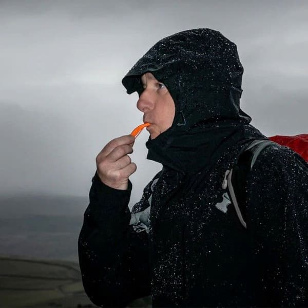 Echo Whistle, view: 3