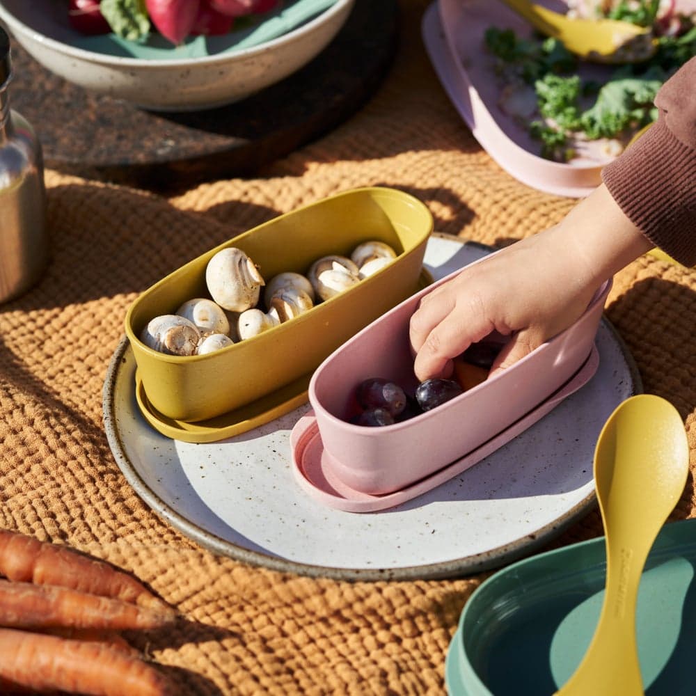 SnapBox oval 2-pack Musty Yellow / Hazy Blue, view: 1