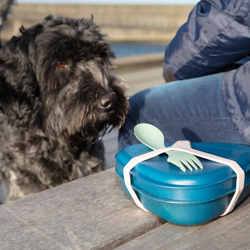 Harness Shady Green, view: 2