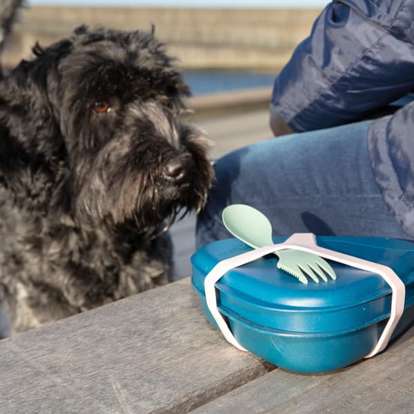 Harness Dusty Pink, view: 2