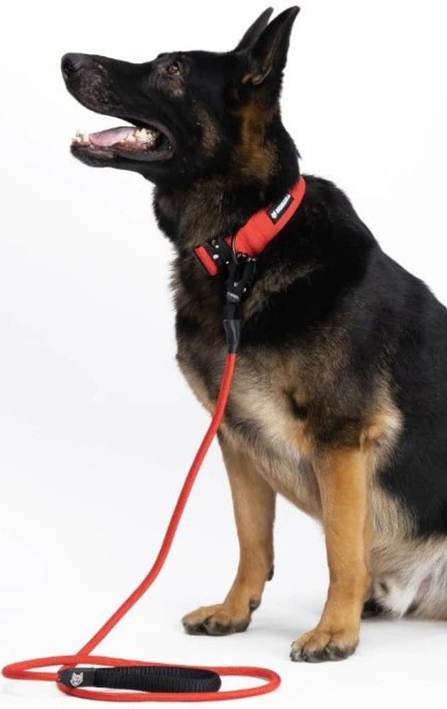 Rope Leash Red, view: 1
