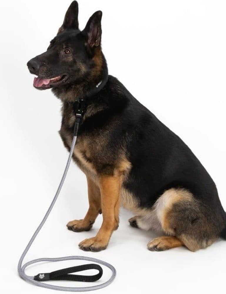 Rope Leash Grey, view: 1