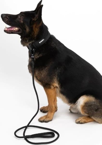 Rope Leash Black, view: 1