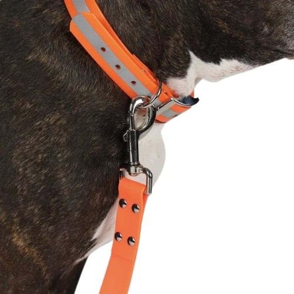 Training Leash Wide, view: 1