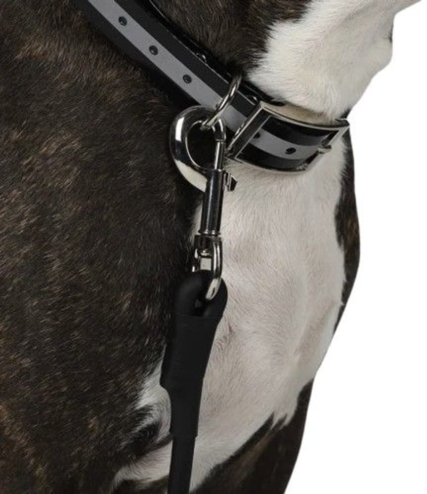 Training Leash Round, view: 1