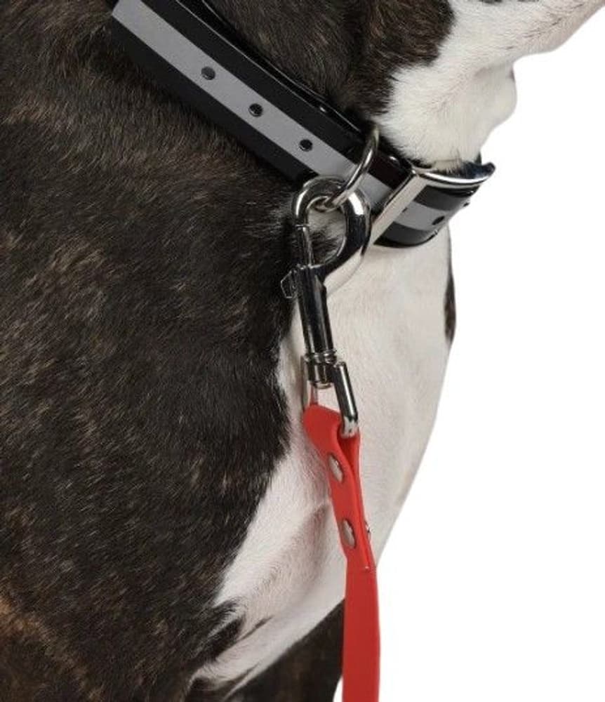 Training Leash Narrow, view: 1