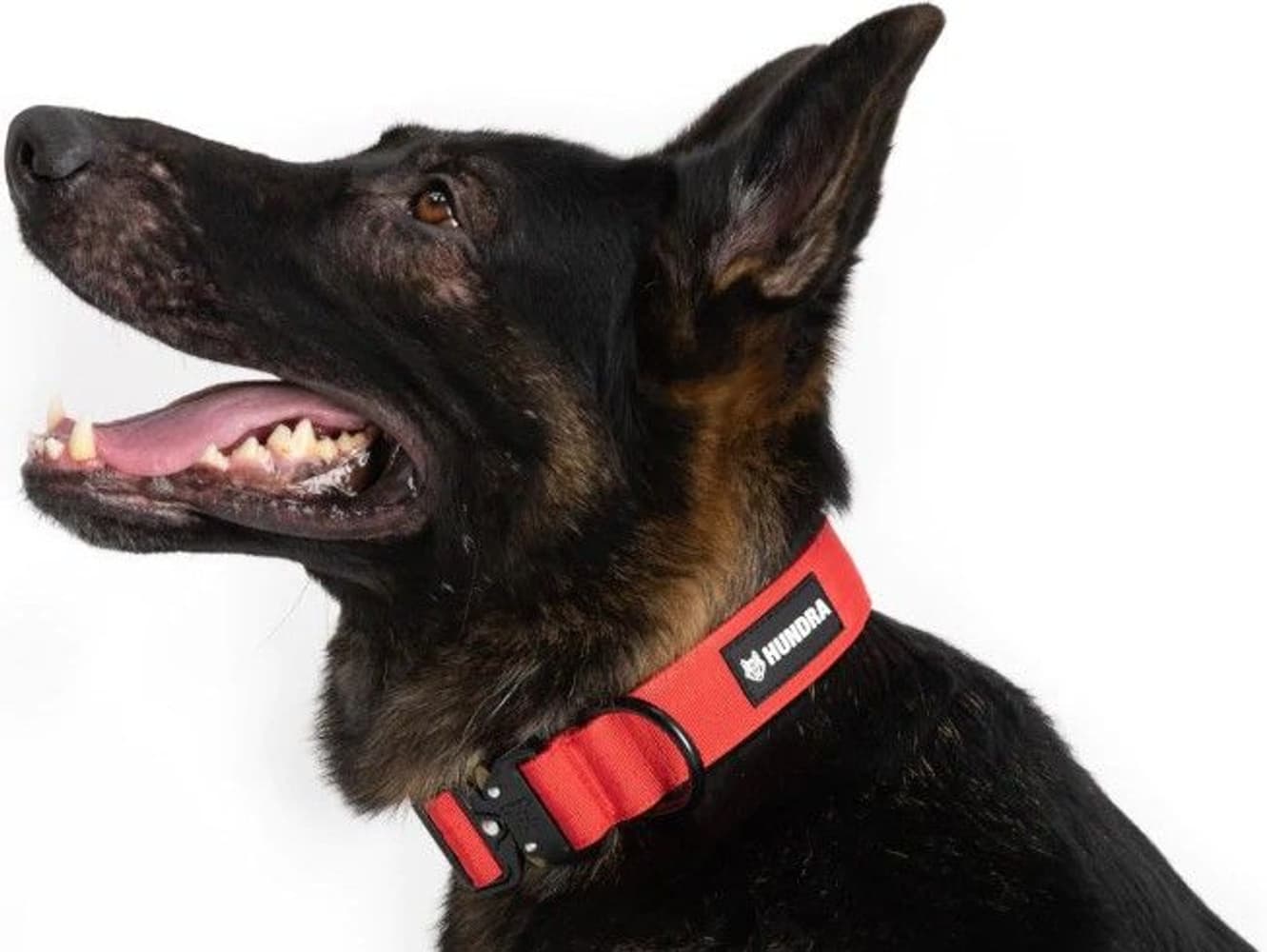Tactical Dog Collar Red S-M, view: 1