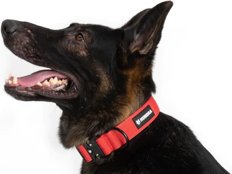 Tactical Dog Collar Red S-M, view: 1