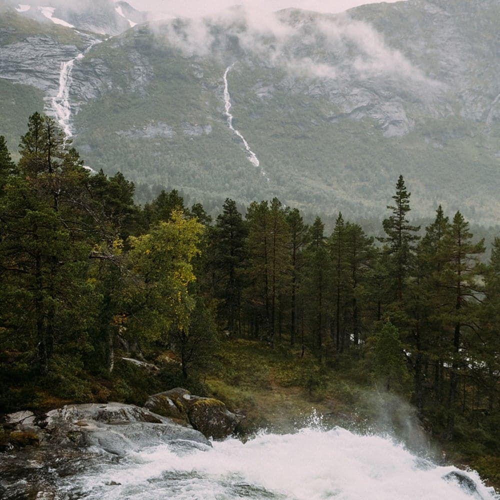 Seeker 4 Tarp Sage Green /Ice Blue, view: 1