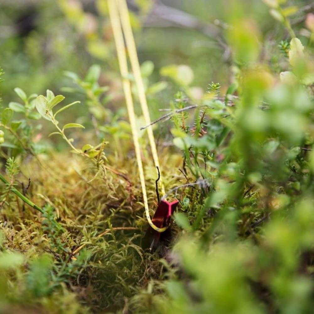 Pegs 19 cm 10 pcs, view: 2