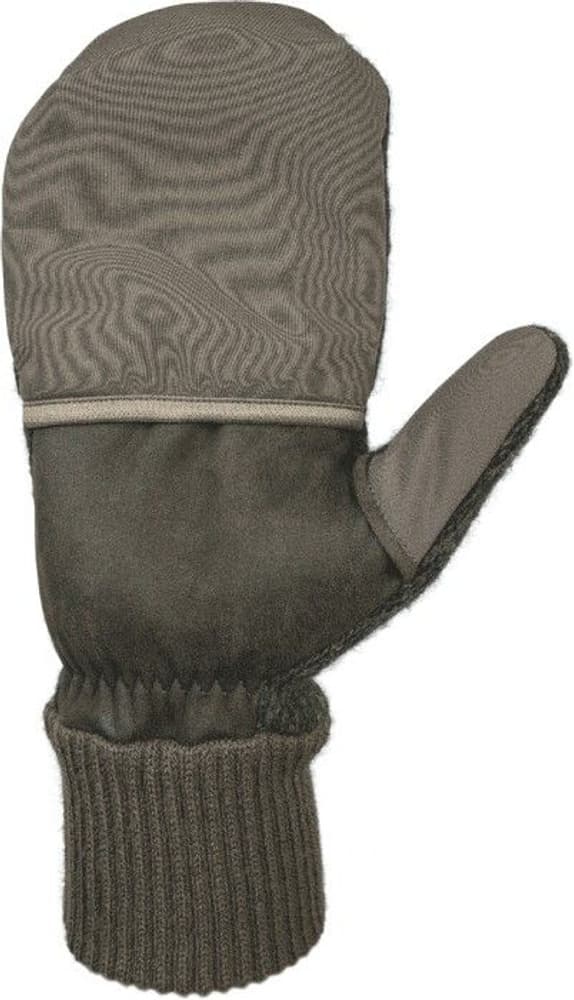 Holik Mandy, view: 2