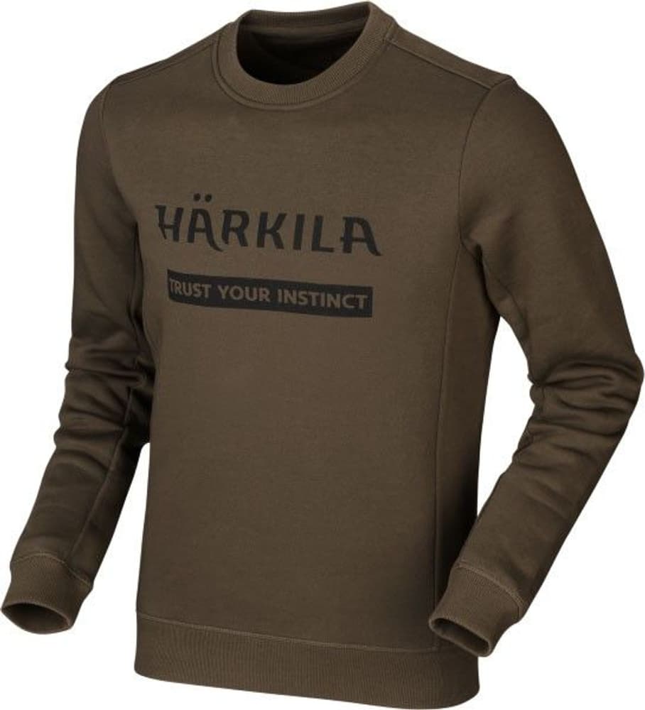 Sweatshirt Willow Green, view: 0