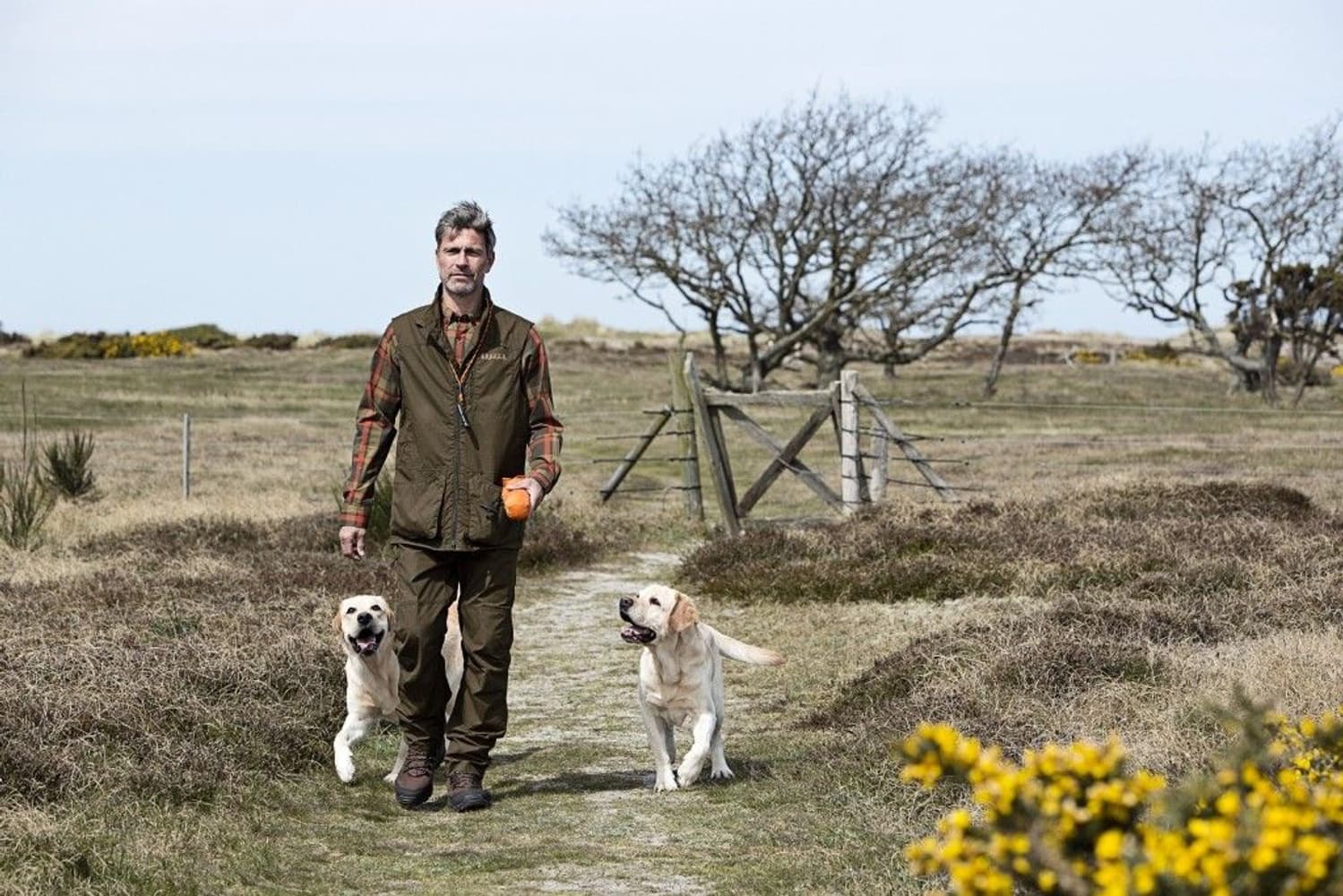 Amlet Skjorte Skogsgrønn Check, view: 2