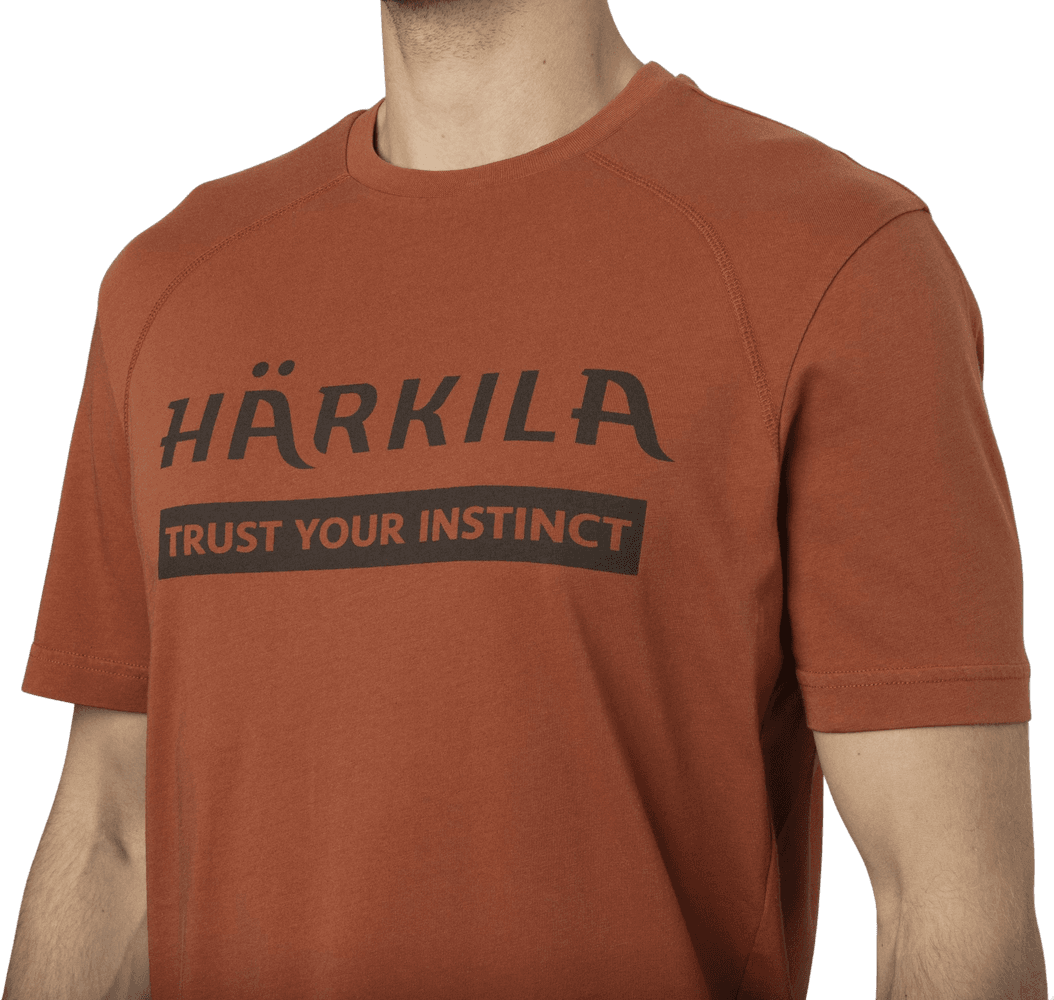 Logo S S T-shirt Arabian Spice, view: 2