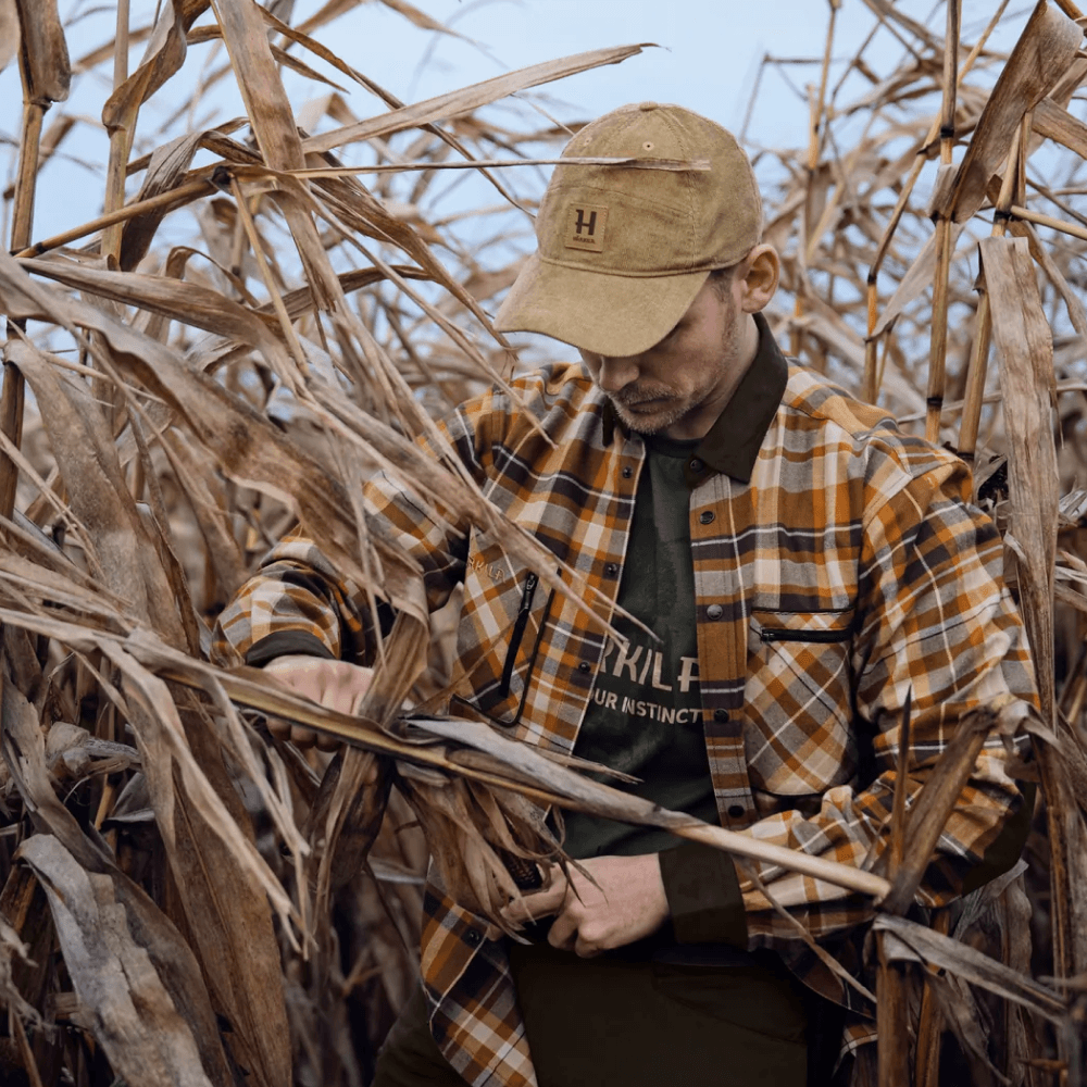 Pajala Shirt Cornstalk Check, view: 5