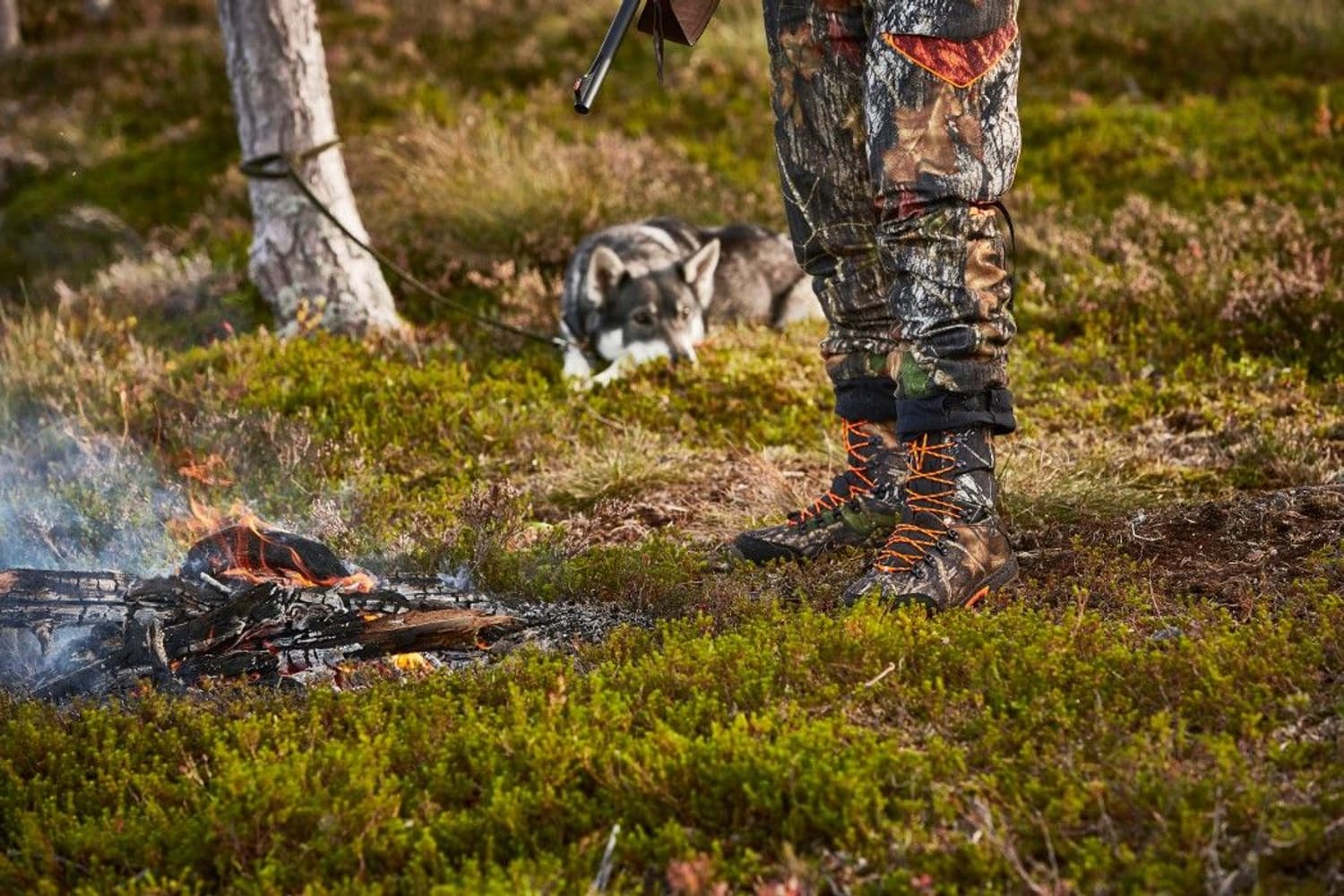 Light GTX 10'' Dog Keeper MossyOak New Break-Up/Blaze Orange, view: 3