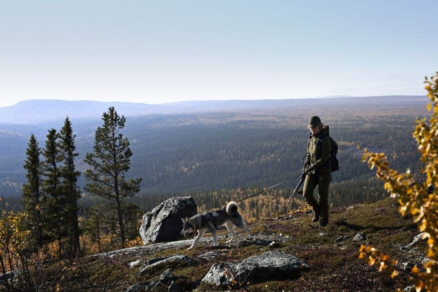 Freja Lady Jacket Willow Green, view: 5