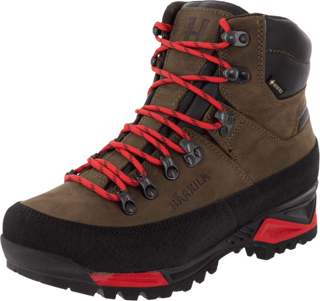 Saxnäs GTX Women Willow Green, view: 0