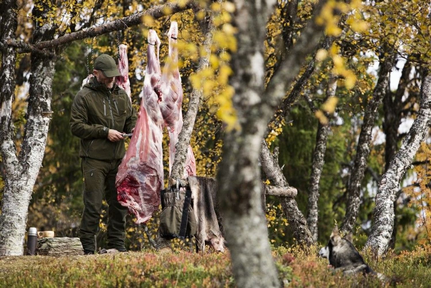 Norfell Trousers Willow Green, view: 7