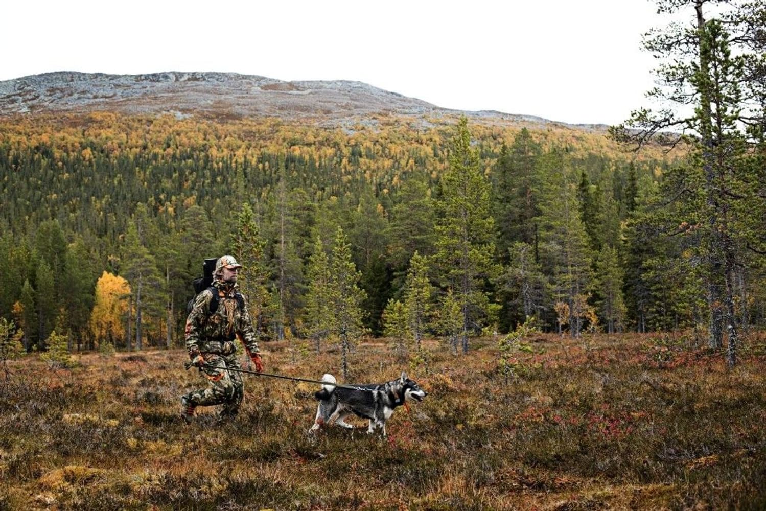 Moose Hunter Jakke, view: 6