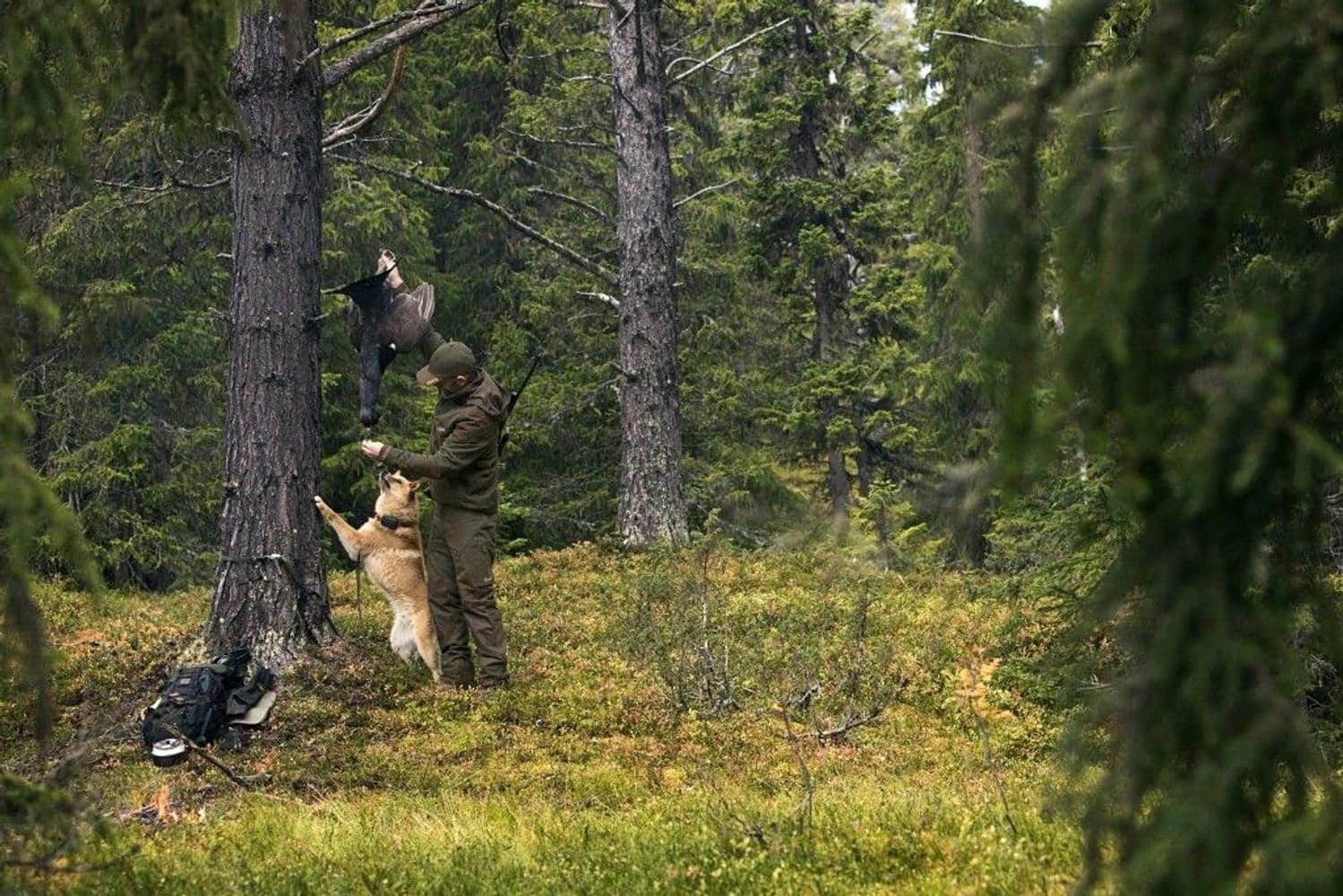 Metso Active Jacket Willow Green/Shadow Brown, view: 2