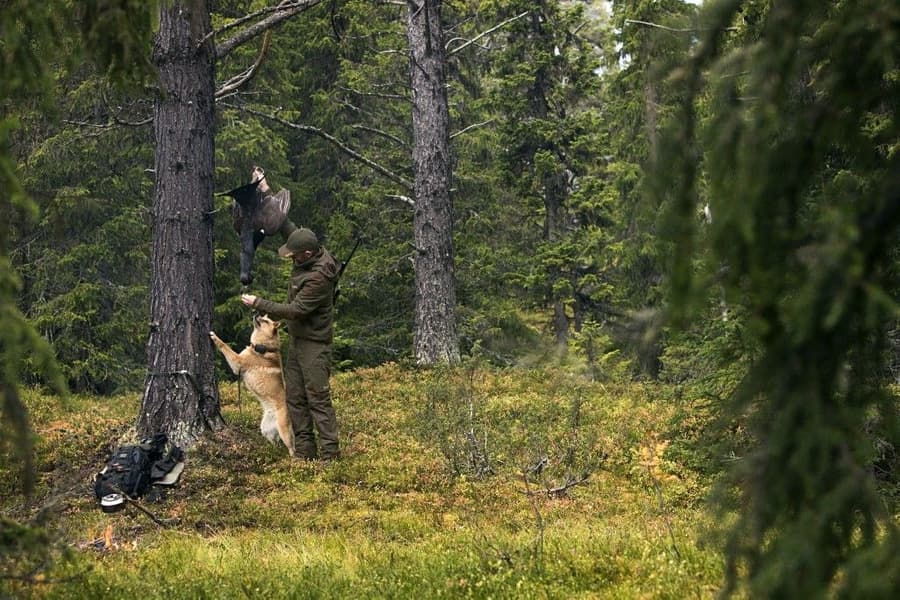 Metso Active Jacket Willow Green/Shadow Brown, view: 2