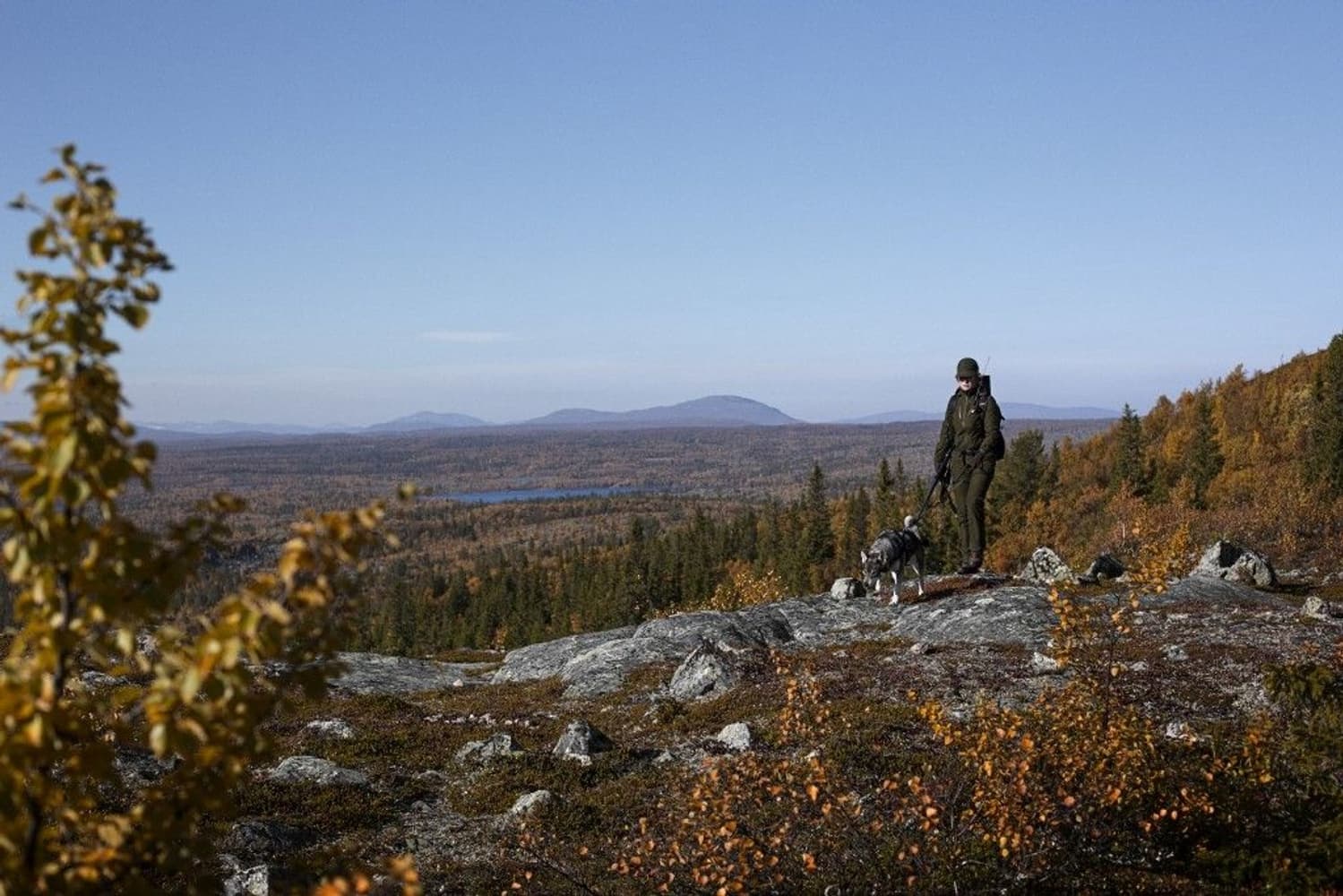 Freja Lady Trousers Willow Green, view: 4