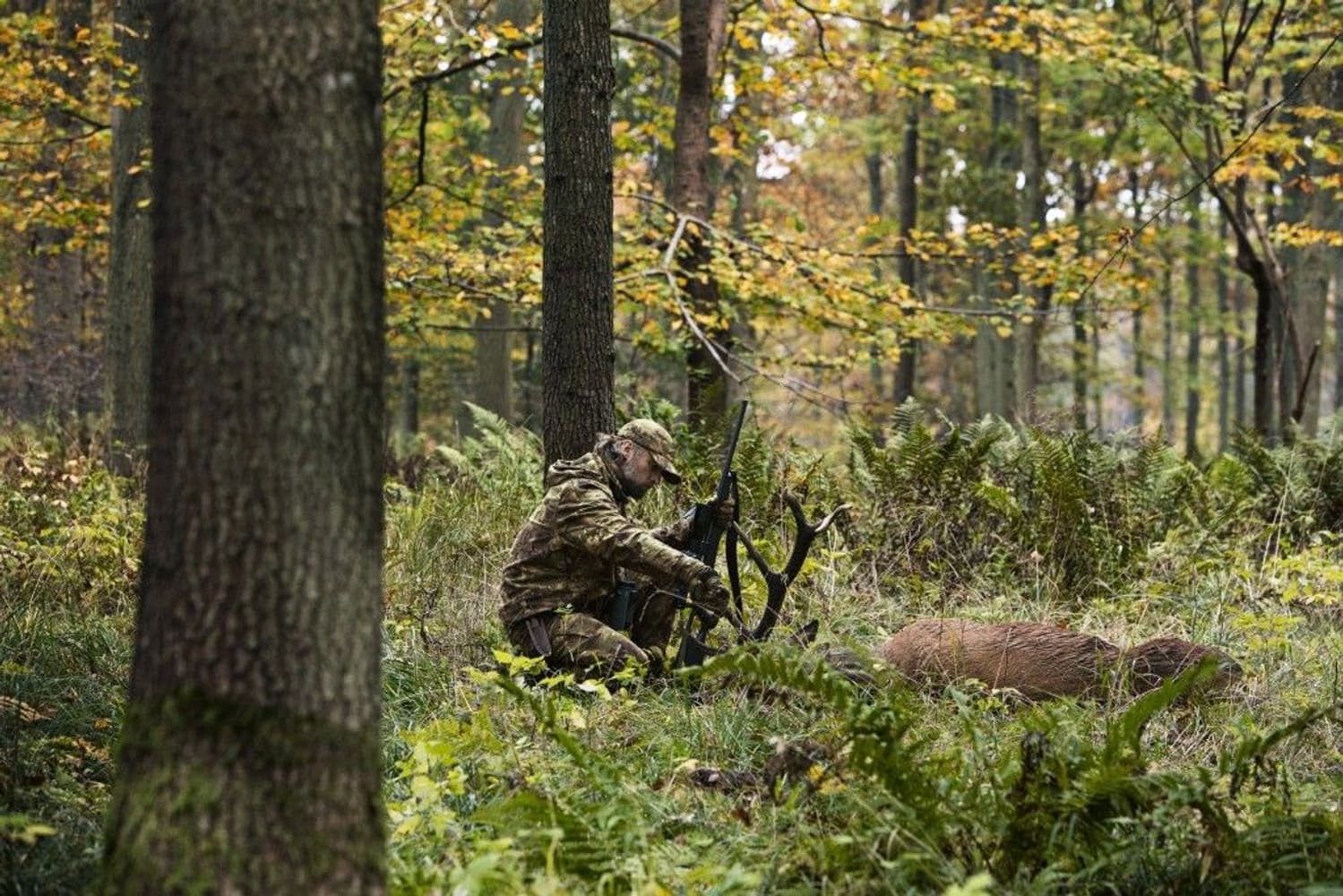 Lynx Jacket AXIS MSP Forest Green, view: 5