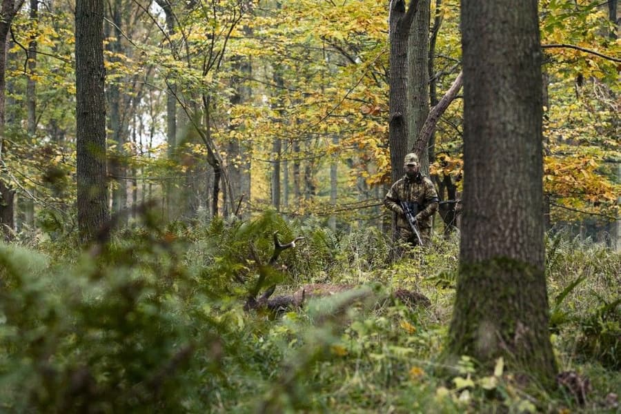 Lynx Trousers AXIS MSP Forest Green, view: 4