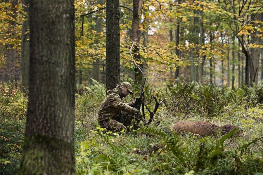 Lynx Trousers AXIS MSP Forest Green, view: 5