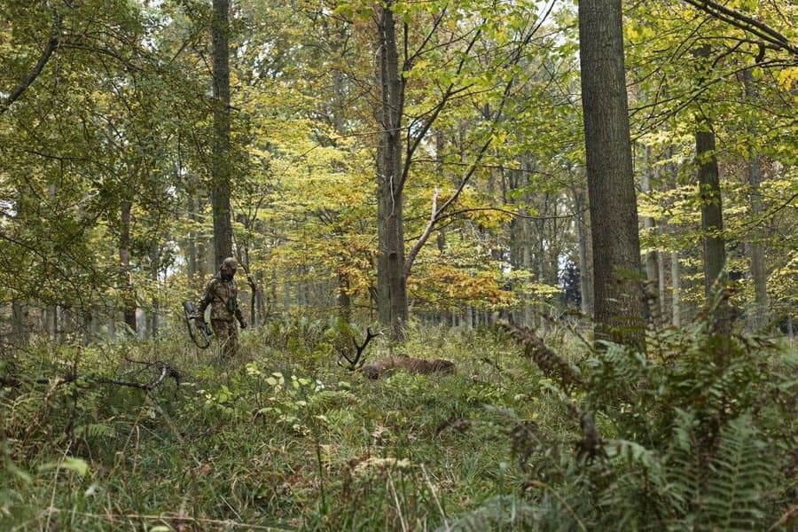 Lynx Trousers AXIS MSP Forest Green, view: 2