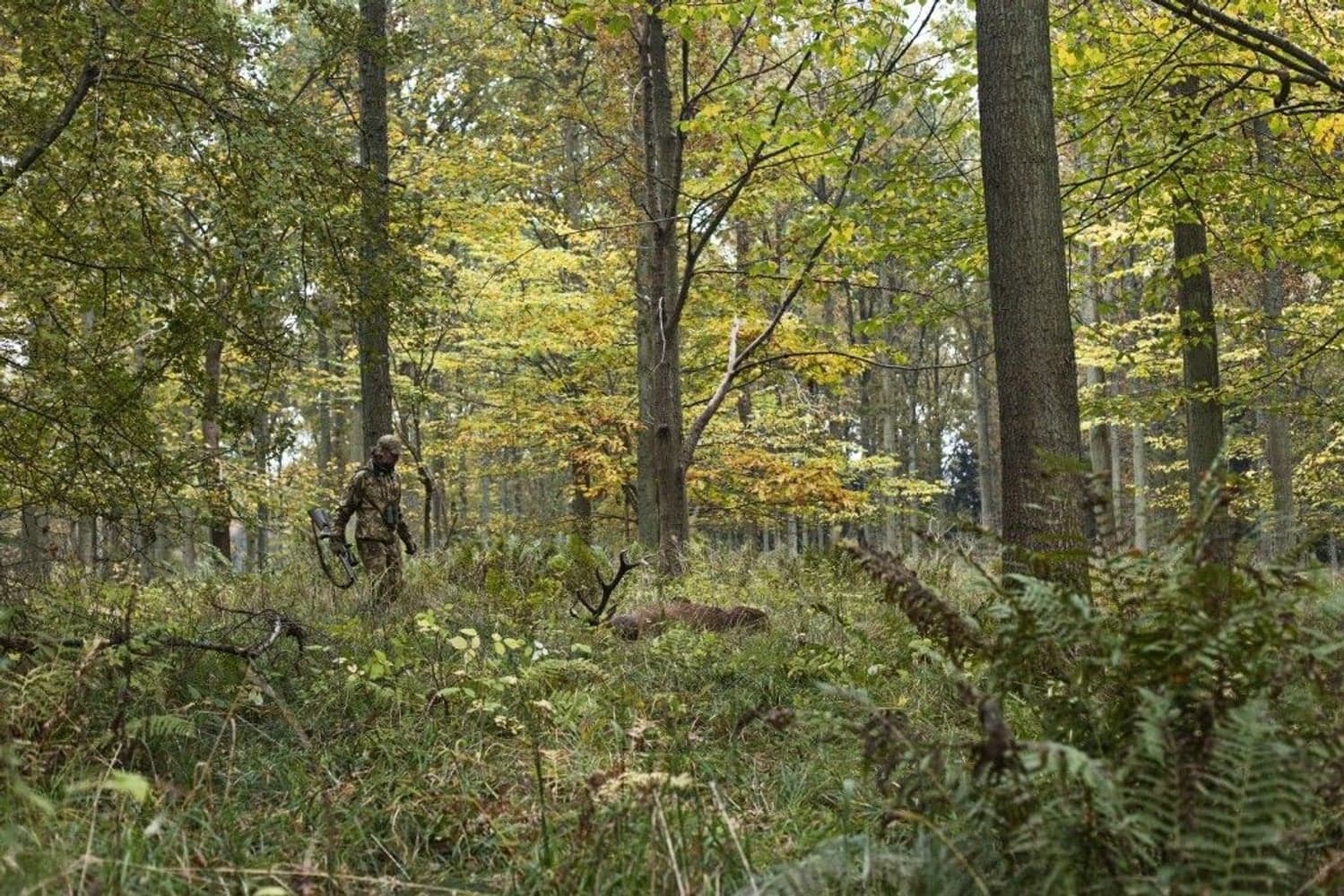 Lynx L/S T-shirt AXIS MSP Forest Green, view: 4