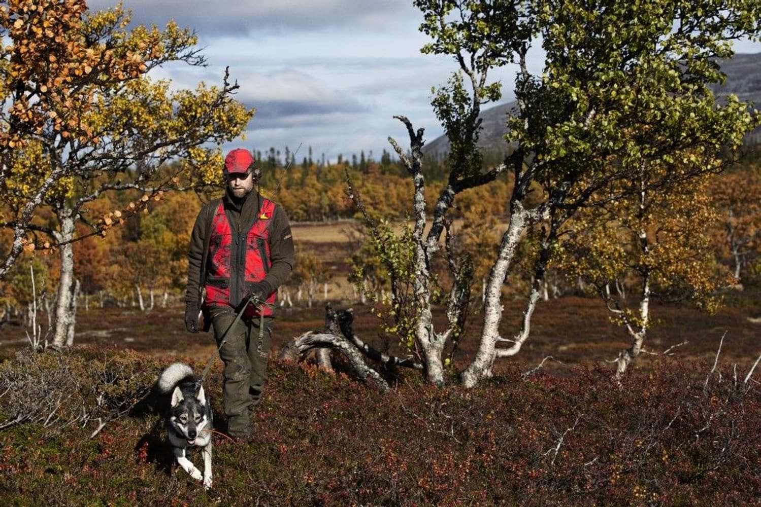 Lynx Safety Vest AXIS MSP Red Blaze/Shadow Brown, view: 2