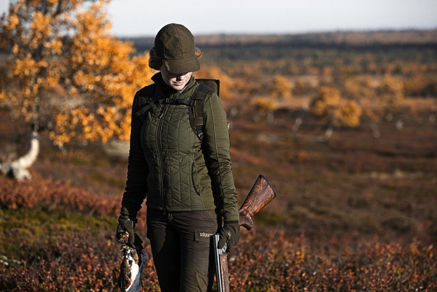 Hjartvar Insulated Hybrid Lady Jacket Willow Green, view: 2