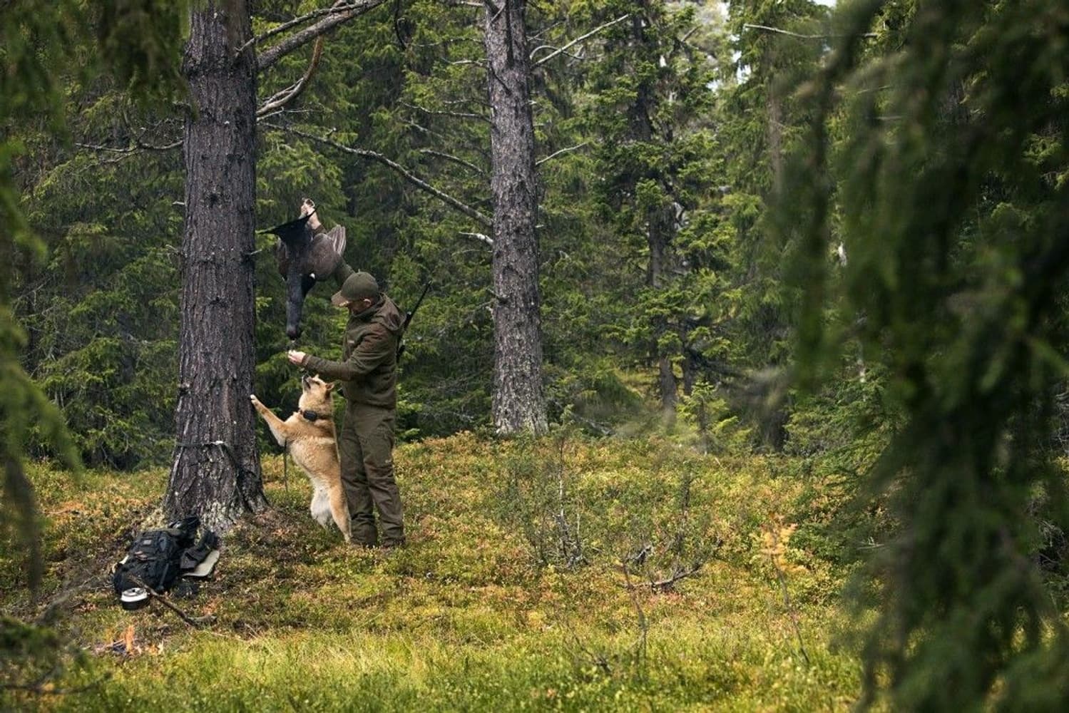 Kervo Jaktryggsekk med våpenholder Hunting Green, view: 5