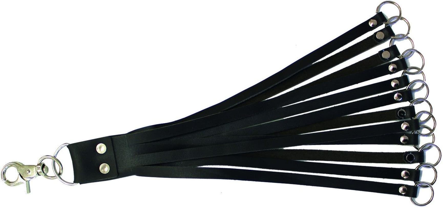 Oppheng fugl i skinn, view: 0