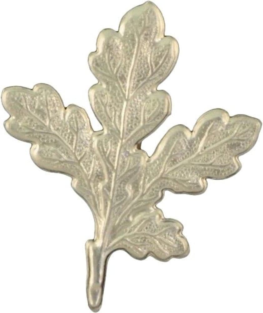 Eikeblad til Villsvinstrofé, view: 0