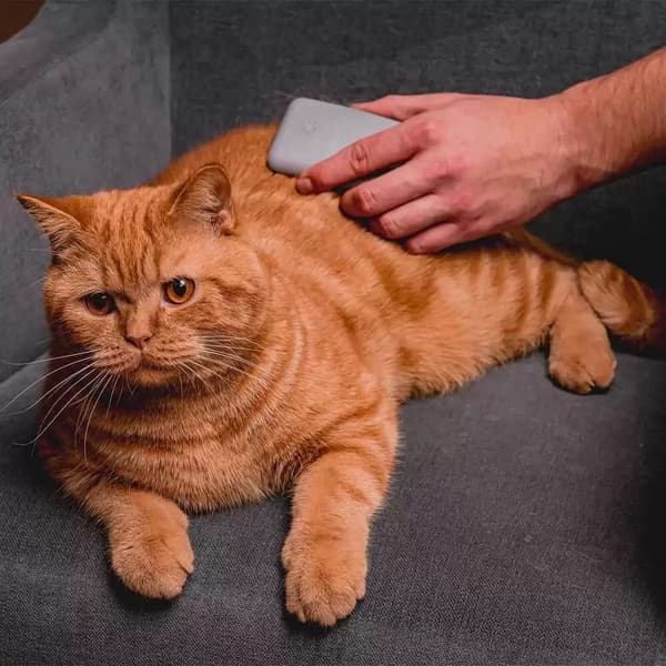 Pels- og massasjebørste, view: 2